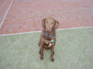 kenda-002.jpg